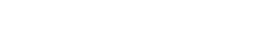 light logo